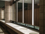 Rehabilitation of Toilets including Hallways