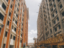 Supply and Installation of Precast Panels- Paseo Verde 